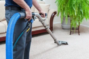 Organic carpet cleaning new york